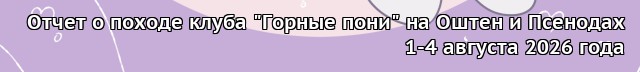 IRL Connection