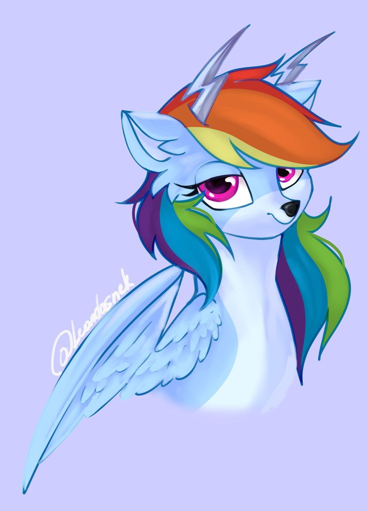 gift for Rejiser